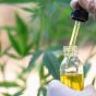 Is CBD Oil Really Effective? Studies Would Suggest So